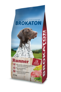 3D_BROKATON_RUNNER_modif