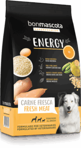 sack-energy