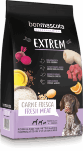 sack-extrem