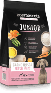 sack-junior