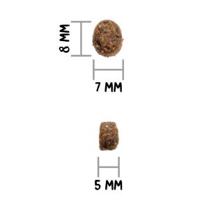 ow-just-sterilizedfishcat-croqadl