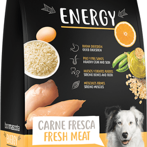 sack-energy