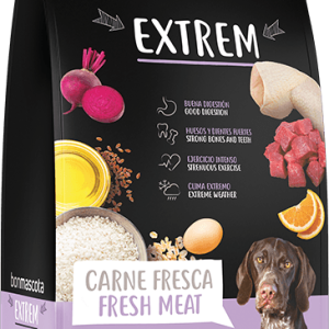sack-extrem