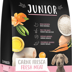 sack-junior