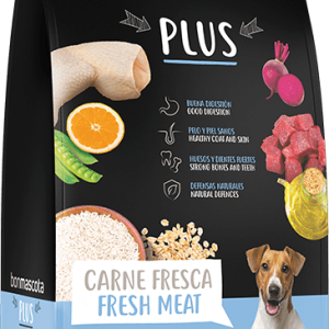 sack-plus