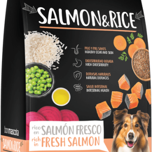 sack-salmonrice